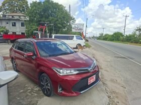 TOYOTA COROLLA FIELDER WXB 2018